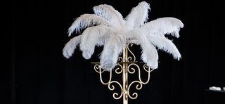 Party Props - Centrepieces