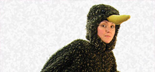 Kiwiana Costumes