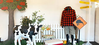 Party Props - NZ