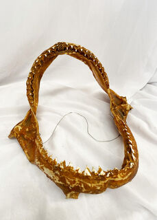 Shark Jaw Skeleton (25-30cm)