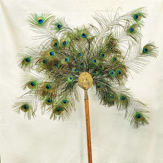 Peacock Feather Fan Stands 2.2m 