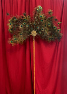 Peacock Feather Fan (H: 2.2m)