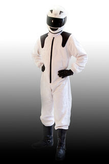 The Stig