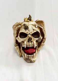 Skull Horror Screaming
