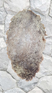 Shield Barbarian Woolly (H: 1.1m x W: 0.6m)