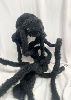 Spider Large Black (2m Span)