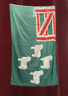 New Zealand Alternate Fantasy Flag (1.9m x 1.1m)