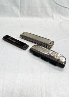 Harmonica Assorted