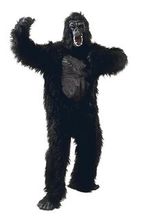 Gorilla