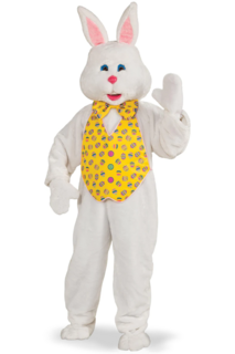 Bunny with Mascot Head