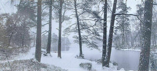 Winter Lake Scene Backdrop (W: 5.7m H: 2.4m)