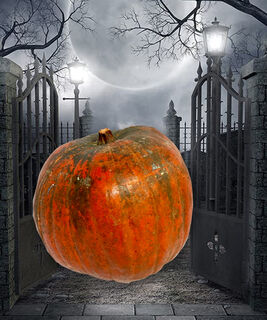 Pumpkin Foam Medium (H: 30cm x D: 30cm)