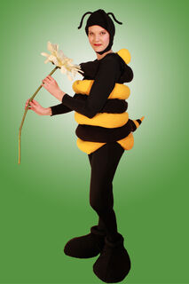 Honey Bee