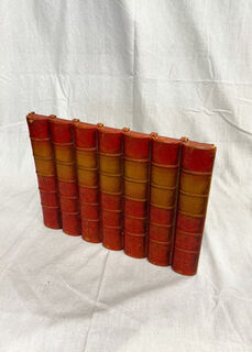 Fake Book Spine Assorted