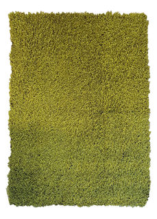 Rug #626 Long Shag Green (1.6m x 2.3m)