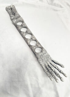 Bone Shot Tray (L: 50cm)