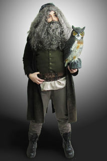 Harry Potter - Hagrid