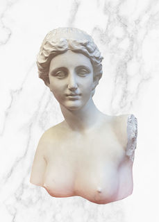 Venus Bust Medium (H: 32cm)