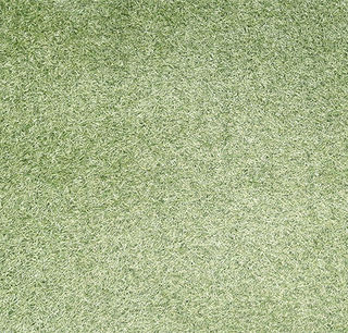 Astro Turf/Fake Grass Thick Pile (3m x 3.8m)