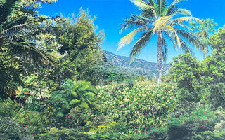 Tropical Hillside Backdrop (W: 8m x H: 4.9m)