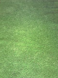 Astro Turf/Fake Grass (8m x 2m)