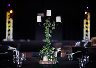 Ivy Garden Centrepiece