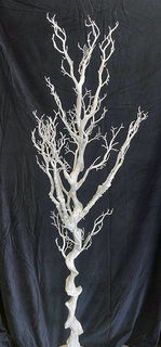 Manzanita Trees White (H: 1.9m)