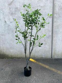 Ficus Tree plastic stem (H: 1.7m)