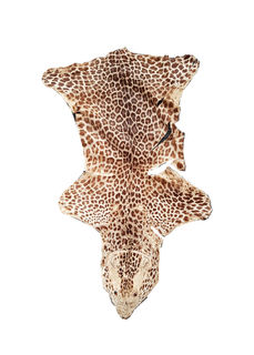 Leopard Skin (1.43m W: 0.91m)