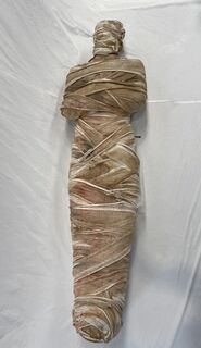 Mummy #2 (1.7m x 0.5m x 0.3m)