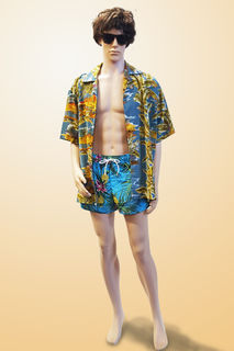 Beach Bro