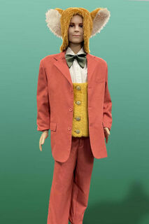 Fantastic Mr Fox - Kids