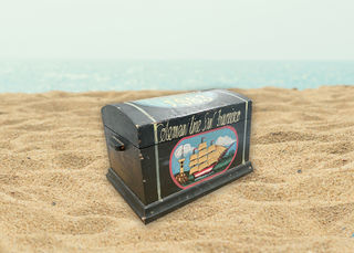 Treasure Chest #22 Coleman Small (H: 17cm x W:254cm x D: 16cm)