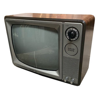 Television #16 Solid State (H: 28cm x W: 38cm x D: 30cm) 