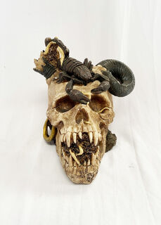 Skull Scorpion Horror