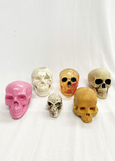 Human Skulls Small Assorted