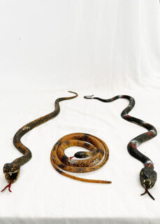 Snake Rubber Assorted