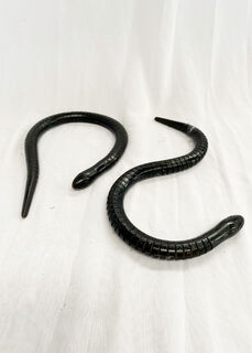 Wooden Snakes