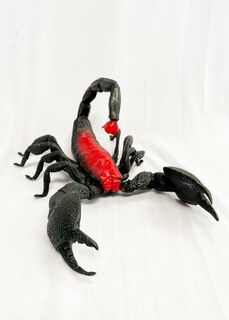 Scorpion Large (H: 14cm x L: 33cm x W: 25cm)