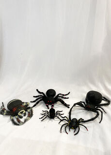 Spider Small Assorted
