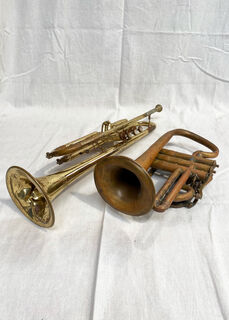 Small Horns/Trumpets Assorted