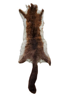 Possum Real #7