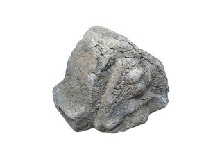 Fibreglass Rock #3 ( L: 1.16m x W: 0.75m x  H: 0.71m)