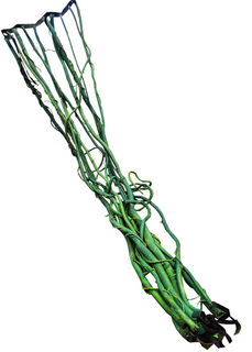 Foam Vine Curtain  (L: 4.1M x W: 1m )