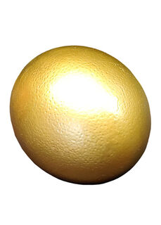 Gold Ostrich Egg (L: 15cm x W: 11cm)