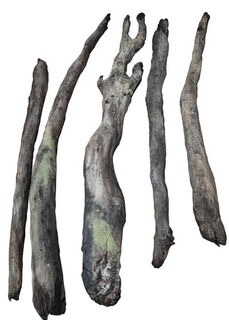 Foam Fake Tree Branch, Long  (Longest length: 2.2m. Shortest Length: 1.7m)