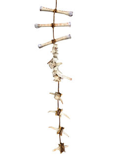 String Of Bones (H: 1.2m)