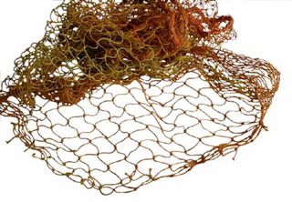 Fishing Nets [aso]