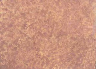 Mottled Earth Tones Backdrop (W: 4.2m x H: 3m)