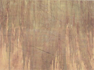 Earth Tones Backdrop (W: 4m x H: 3m)